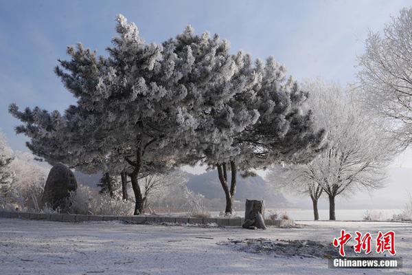 Menteri LHK usulkan Penambahan anggaran di Tahun 2021..
